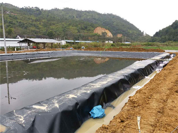 沼气池黑膜