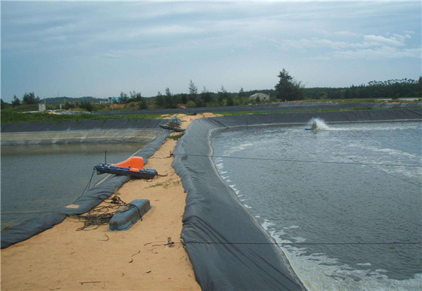 1-201119105633264.jpg