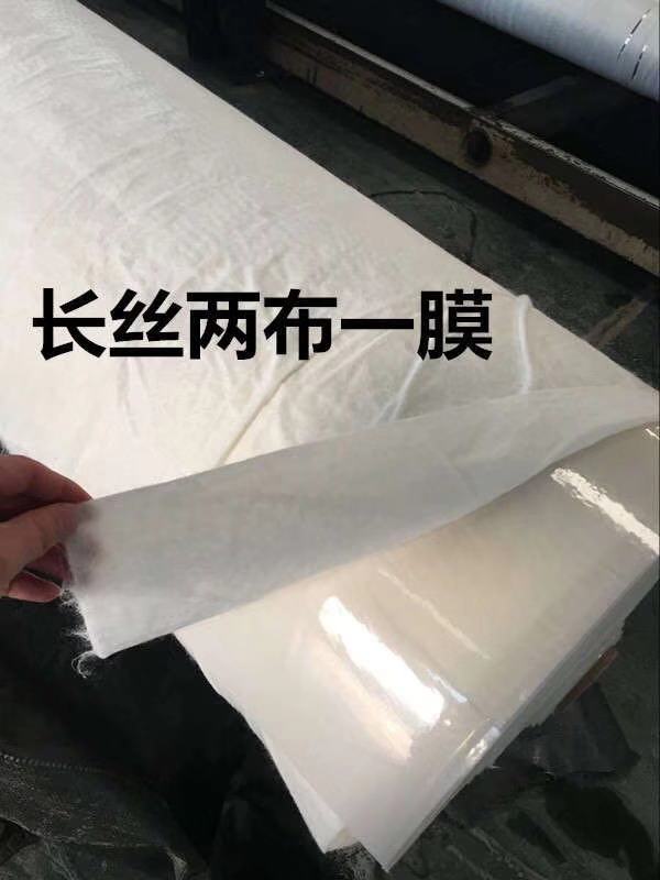 复合土工膜(图1)