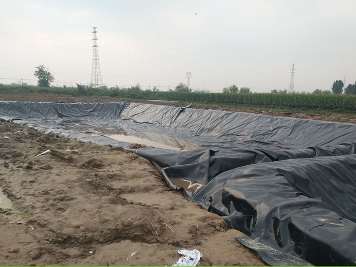 鱼塘专用防渗膜(图1)