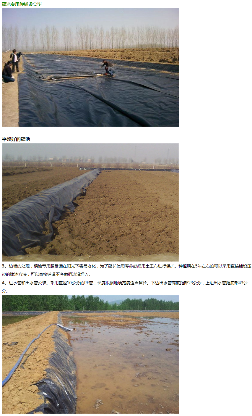1-20121G12914517.png