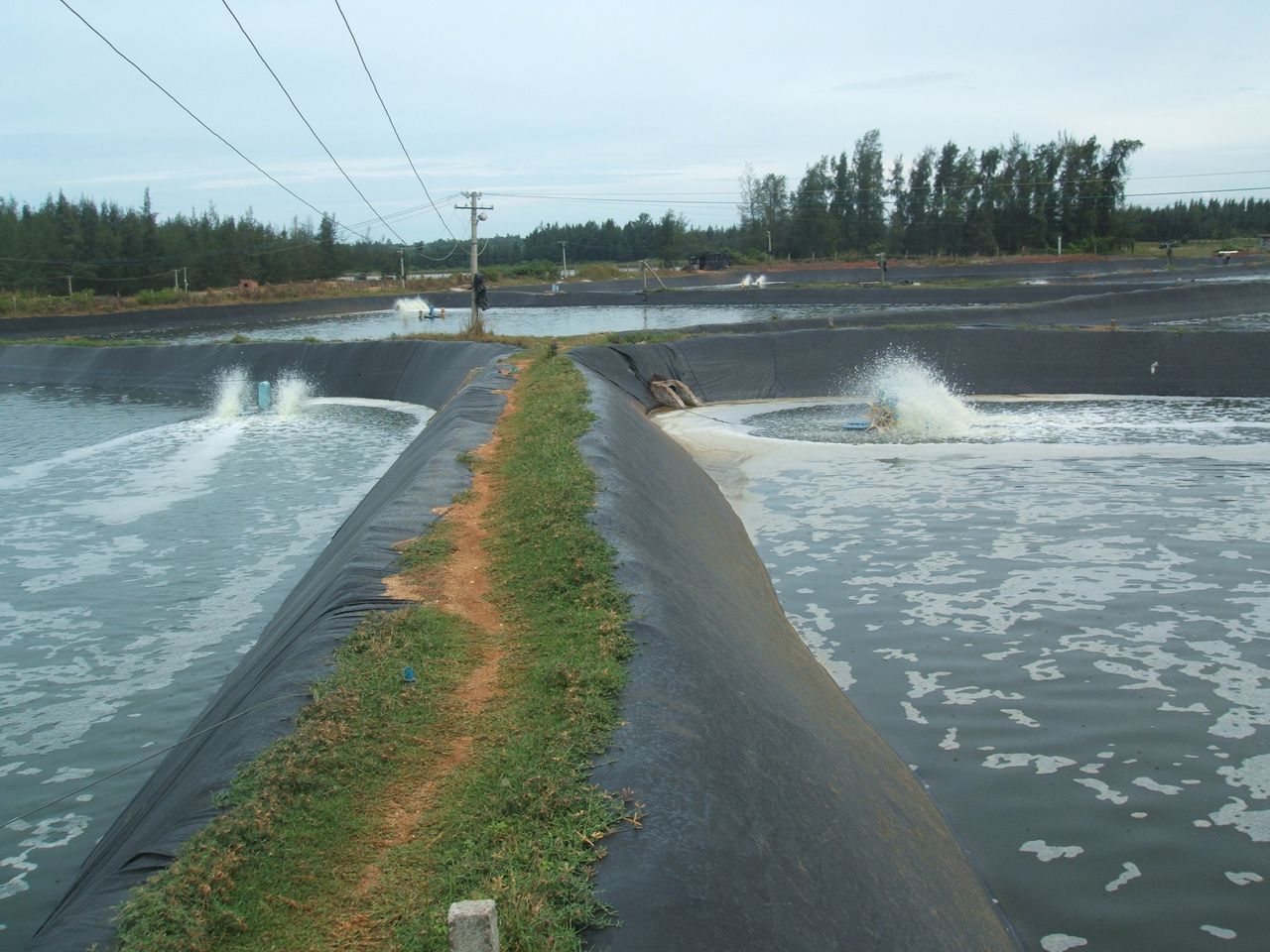 1-20121G33AT44.jpg